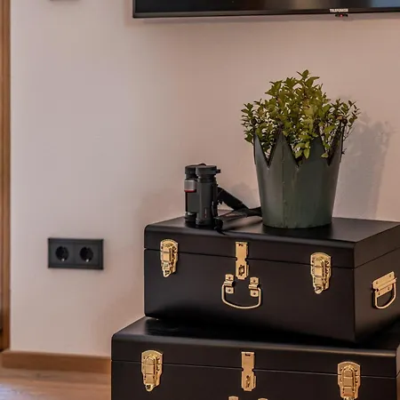 Apartment Almadel - Appartementhaus In Schladming-dachstein